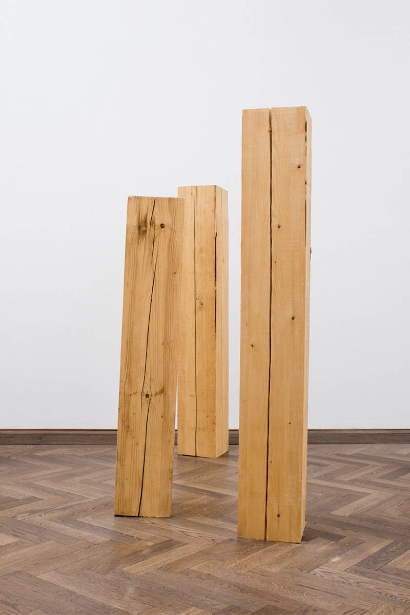Maeva Rosset «Dummes Holz»  | Institut Kunst, Master 2016