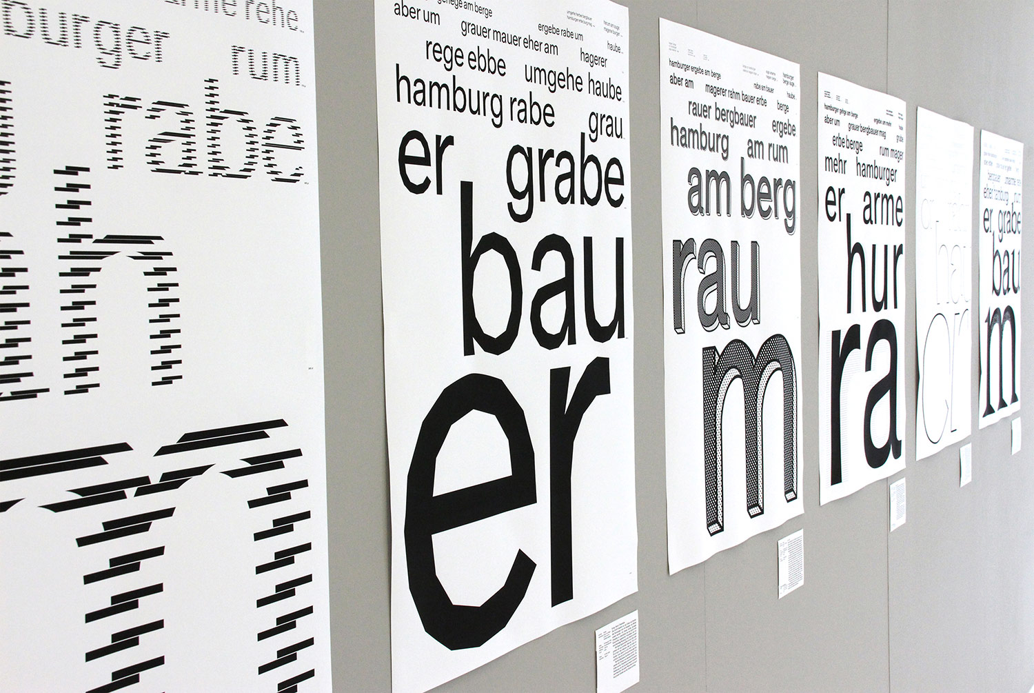Anja Birrer «Typefaces with many faces» | Visuelle Kommunikation, Diplom Bachelor  2016