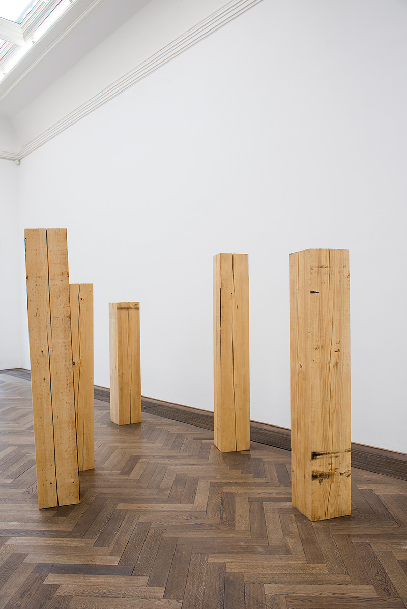 Maeva Rosset «Dummes Holz»  | Institut Kunst, Master 2016