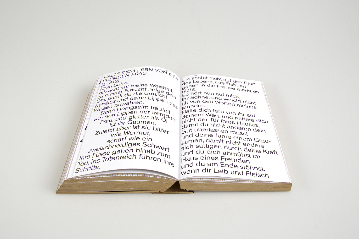Paula Pfau «Bibel der Moderne 1.0» | Visuelle Kommunikation, Diplom Bachelor 2016