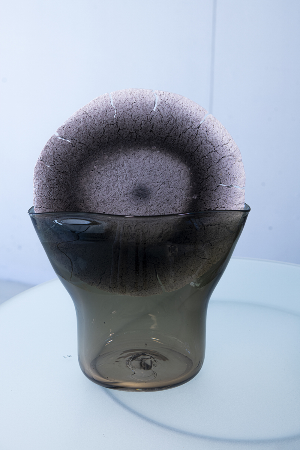 Solidification of Foam